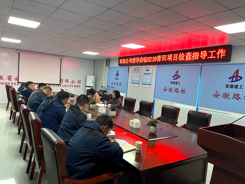 公司黨委委員、紀(jì)委書記王鵬到S219青陽改建項目調(diào)研指導(dǎo)工作
